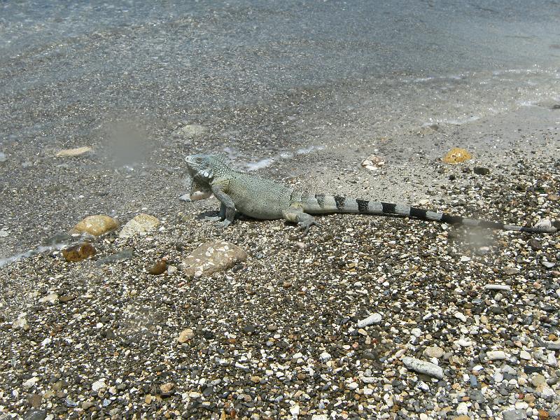 2011-09-06 12-08-27 Mary.JPG